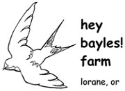 hey bayles! farm